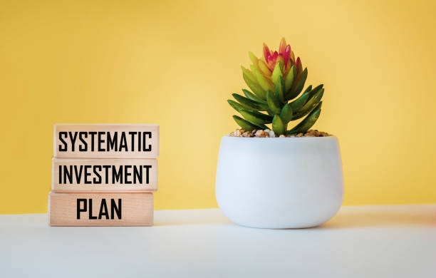 Invest in SIP: The simple habit that builds long-term mutual fund wealth