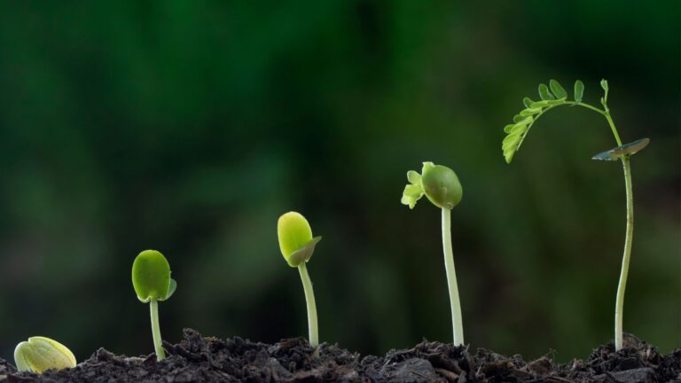 Translating intention into action: Solving journalism’s ‘impact crisis’