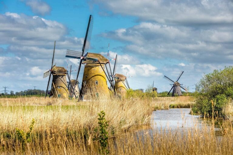 Dutch Pension Shift Hits Long-Term Debt Market